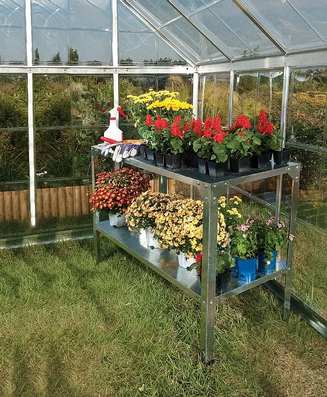 כוננית עבודה לחממה