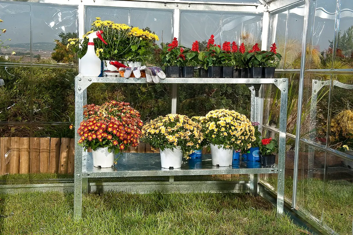 כוננית עבודה לחממה