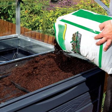 חממה מיני שקופה פלאנט אין