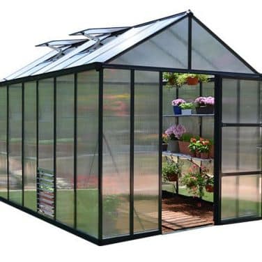 גלורי - חממה אפורה 8X12