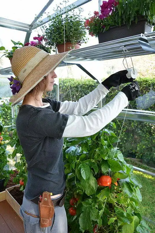 ערכת הדלייה לחממה