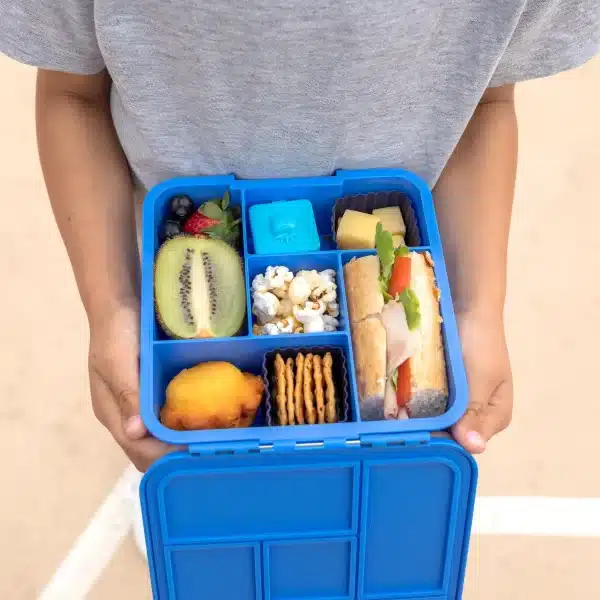 Little Lunch Box - קופסת בנטו מחולקת 5 תאים - Blueberry