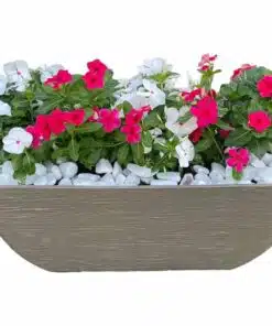 עציצים ותערובות שתילה