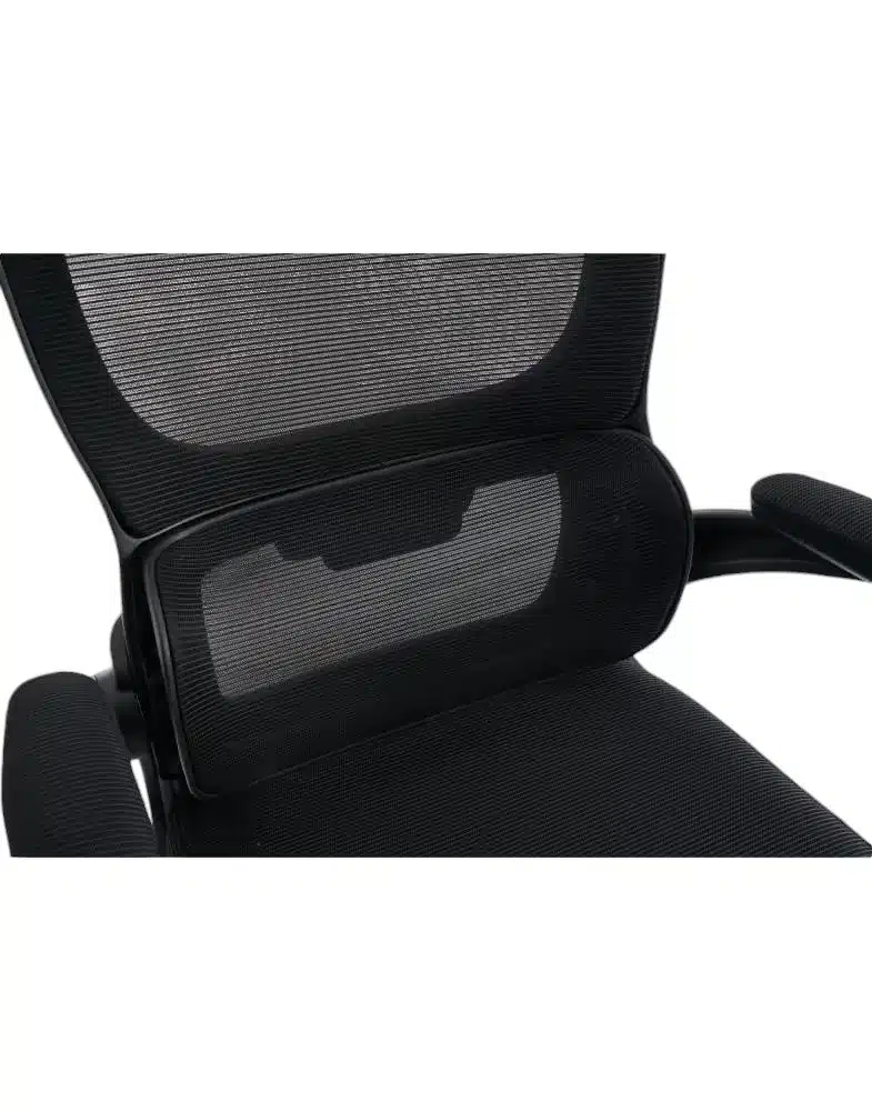 ⁦כסא מנהלים אורטופדי Lux⁩ – תמונה ⁦6⁩