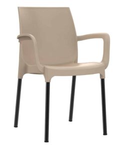 כסא נגיש עם מסעדי ידיים כסא פלסטיק דגם דן עם רגליים מאלומיניום בז