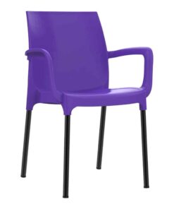 כסא נגיש עם מסעדי ידיים כסא פלסטיק דגם דן עם רגליים מאלומיניום סגול